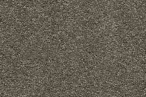 Ковролин AW Vivendi Punch 29 фото  | FLOORDEALER